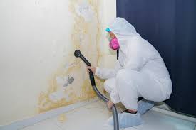 Trusted Salem, NC Mold Remediation Experts